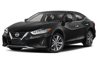 2019 Nissan Maxima For Sale in Great Falls, MT