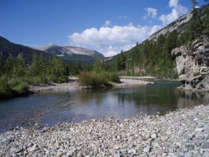 Lewis and Clark National Forest in Montana | Taylor's Auto Max