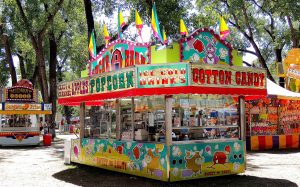 The Montana State Fair | Taylor's Auto Max