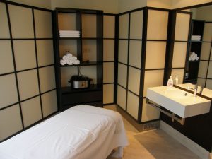 spa salon in great falls