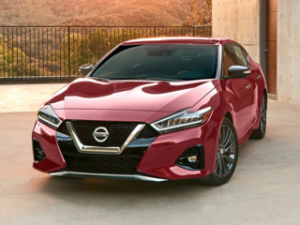 2019 nissan maxima 