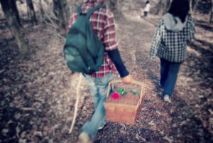 hiking route in great falls, mt