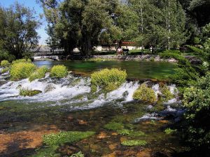 great falls water spring in montana