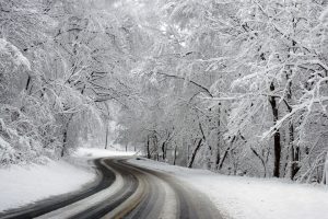 snowy roads in forest