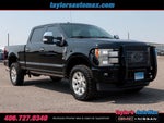 2017 Ford Super Duty F-250 SRW Platinum