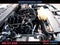 2019 Ford F-150 Base